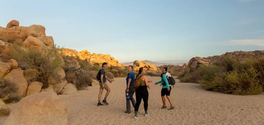 Local Guides & Tours